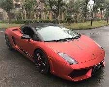 巩俐在北影,节盛典上发,表爱国感言,WEpoker俱乐部官网,WEpoker官网app下载,WEpoker官网网页版,WEpoker官网h5平台